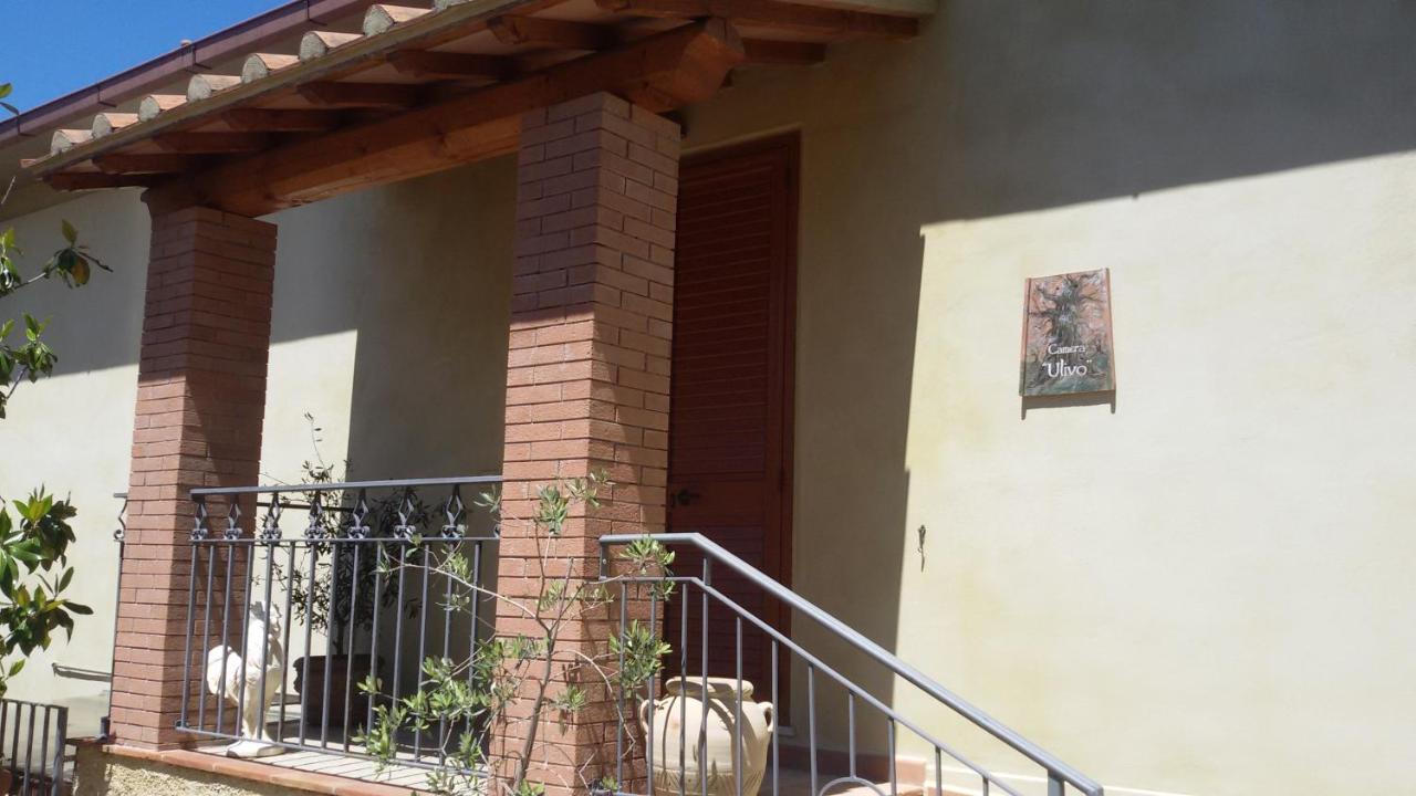 Le Camere di Nonna Mara Montescudaio Esterno foto